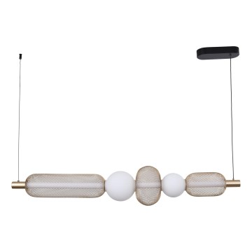 Zuma Line - aptumšojama LED lustra uz kabeļa LED/27W/230V 3000-5700K zelta