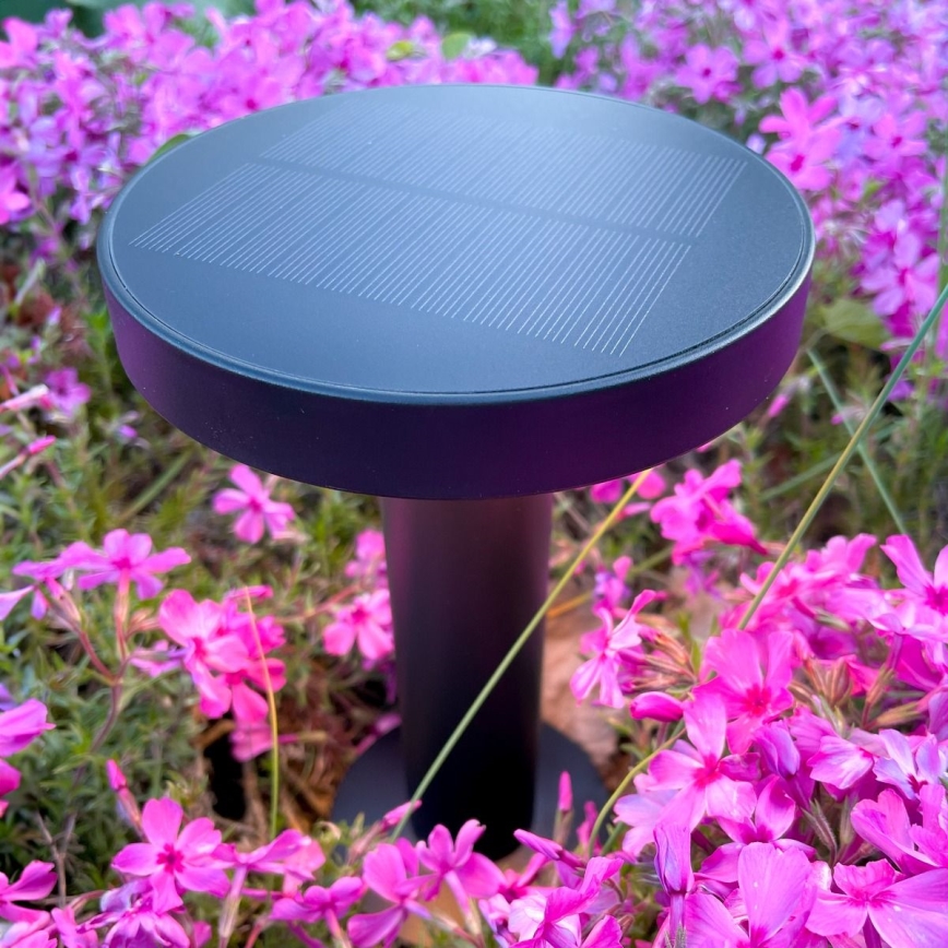 Zuma Line - LED Aptumšojama saules enerģijas uzlādējams galda lampa LED/2W/2000 mAh IP44 melna
