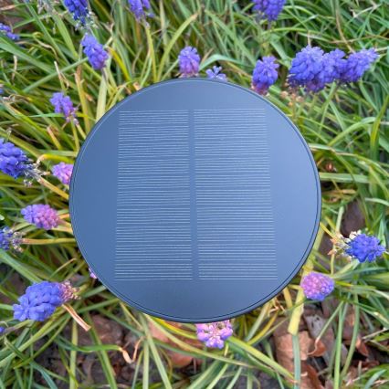 Zuma Line - LED Aptumšojama saules enerģijas uzlādējams galda lampa LED/2W/2000 mAh IP44 melna