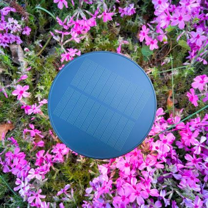 Zuma Line - LED Aptumšojama saules enerģijas uzlādējams galda lampa LED/2W/2000 mAh IP44 melna