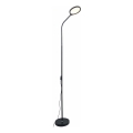 Zuma Line - LED Aptumšojama grīdas stāvlampa LED/10W/230V 3000/4500/6500K melna