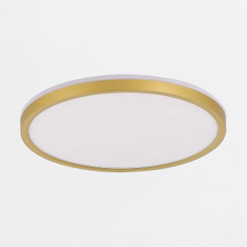 Zuma Line - LED Aptumšojama griestu lampa LED/38W/230V + LED/11W 3000/4000/5500K d. 50 cm zelta