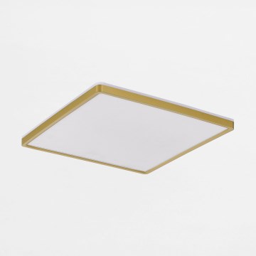 Zuma Line - LED Aptumšojama griestu lampa LED/38W/230V + LED/12W 3000/4000/5500K 40x40 cm zelta