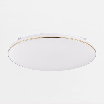 Zuma Line - LED Aptumšojama griestu lampa OMAR LED/48W/230V d. 53 cm zelta