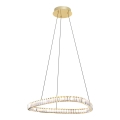 Zuma Line - LED Aptumšojama kristāla lustra ar auklu LED/25W/230V 2700-6000K + tālvadības pults