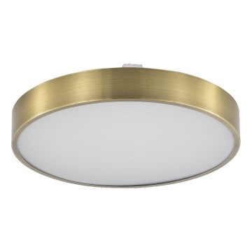 Zuma Line - LED Aptumšojama vannas istabas griestu lampa LED/50W/230V 3000-6000K d. 50 cm IP44 misiņš + tālvadības pults