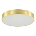 Zuma Line - LED Aptumšojama vannas istabas griestu lampa LED/50W/230V 3000-6000K d. 50 cm IP44 zelta + tālvadības pults