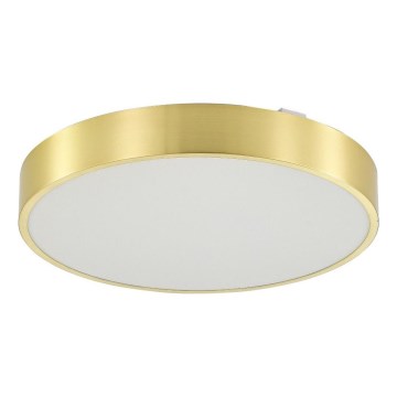 Zuma Line - LED Aptumšojama vannas istabas griestu lampa LED/50W/230V 3000-6000K d. 50 cm IP44 zelta + tālvadības pults