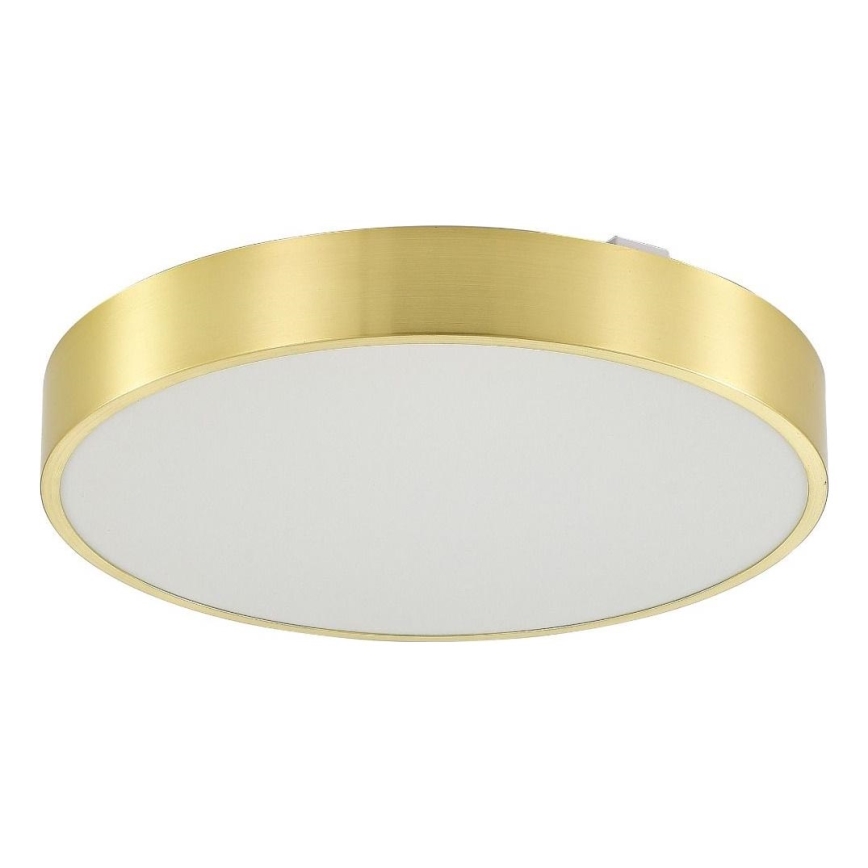 Zuma Line - LED Aptumšojama vannas istabas griestu lampa LED/50W/230V 3000-6000K d. 50 cm IP44 zelta + tālvadības pults