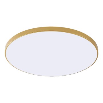 Zuma Line - LED griestu gaismeklis VERI LED/32W/230V, Ø 37 cm, zelta krāsā