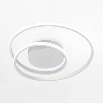 Zuma Line - LED Griestu lampa LED/22W/230V balta