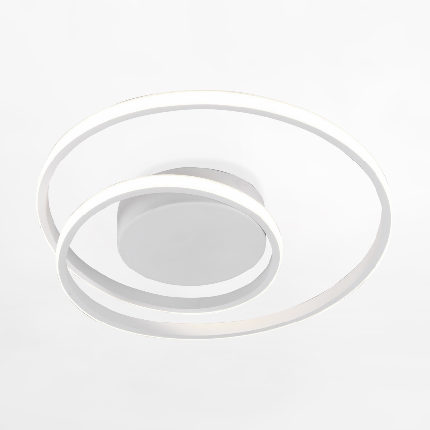 Zuma Line - LED Griestu lampa LED/22W/230V balta