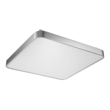 Zuma Line - LED Griestu lampa LED/60W/230V spīdīgi hromēts