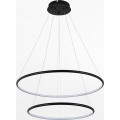 Zuma Line - LED Lustra ar auklu LED/40W/230V melna