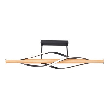 Zuma Line - LED Lustra ar stieni LED/30W/230V