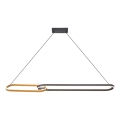 Zuma Line - LED lustra uz troses 2xLED/40W/230V melna/zelta