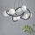 Zuma Line - Lustra ar auklu 8xG9/3,5W/230V melna