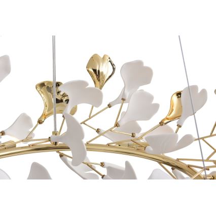 Zuma Line - Lustra uz kabeļa 6xG9/42W/230V diam. 74 cm zelta krāsā