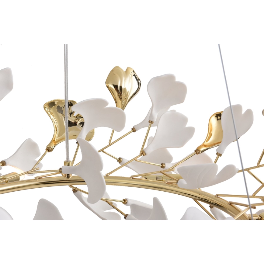 Zuma Line - Lustra uz kabeļa 6xG9/42W/230V diam. 74 cm zelta krāsā