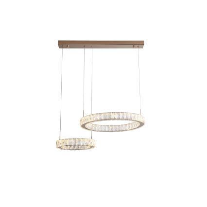 Zuma Line - LED lustra uz troses LED/36W/230V rožu zelts