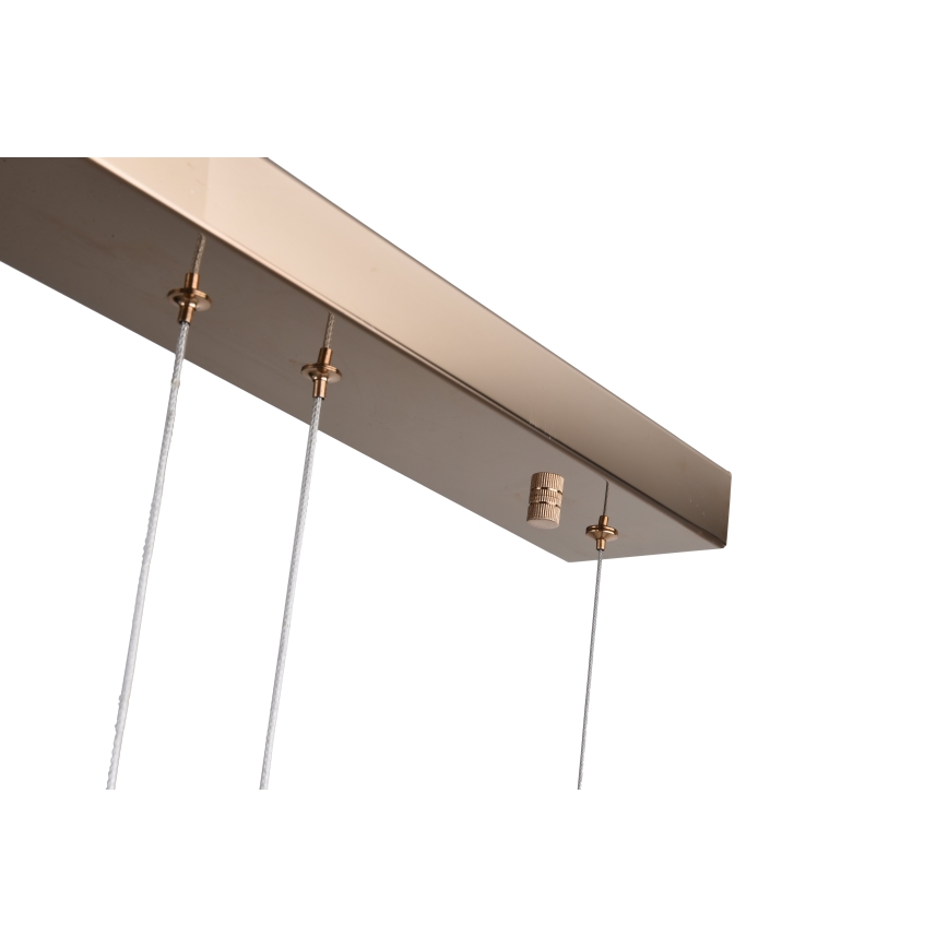 Zuma Line - LED lustra uz troses LED/36W/230V rožu zelts