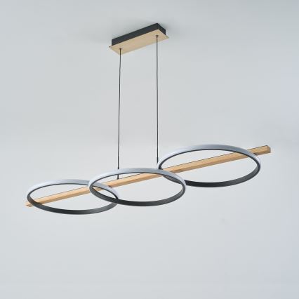 Zuma Line - LED Aptumšojama lustra ar auklu LED/35W/230V