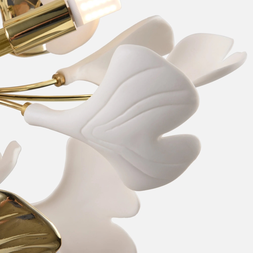 Zuma Line - Uz virsmas montējams griestu lustrs 6xG9/42W/230V Ø 70 cm zelta krāsas