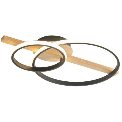 Zuma Line - LED Aptumšojama virsapmetuma lustra LED/17W/230V