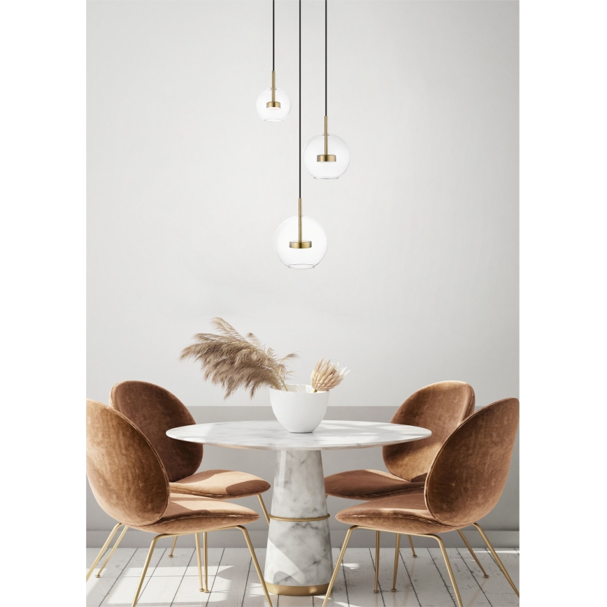 Zuma Line - LED Lustra ar auklu 3xLED/5W/230V zelta
