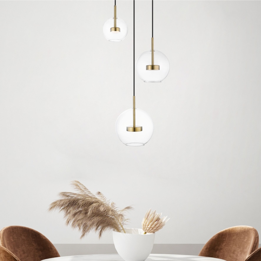 Zuma Line - LED Lustra ar auklu 3xLED/5W/230V zelta