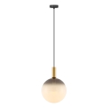 Zuma Line - pakaramā lustra ar vadu 1xE27/25W/230V Ø 30 cm zelta/melna