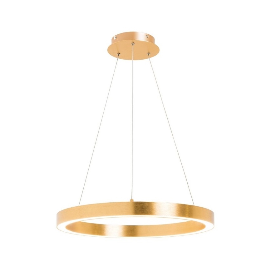 Zuma Line - LED Lustra uz auklas 1xLED/30W/230V 40 cm zelta