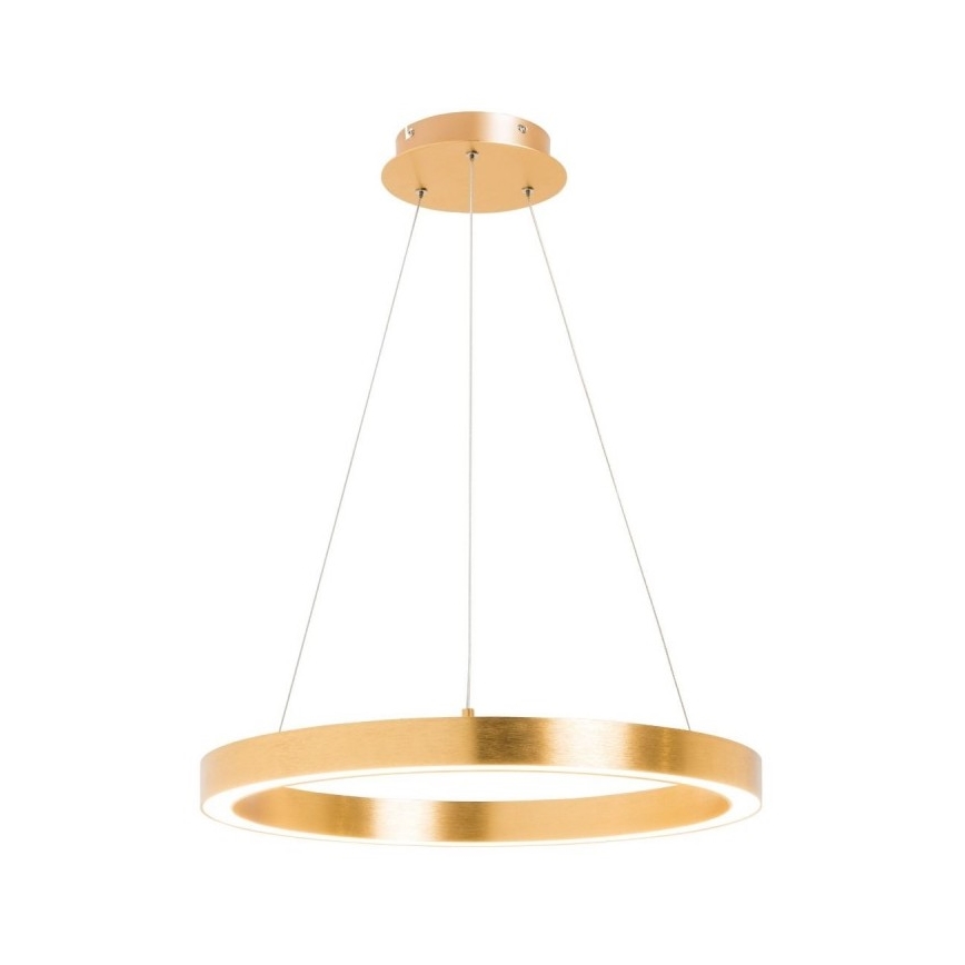 Zuma Line - LED Lustra uz auklas 1xLED/40W/230V d. 50 cm zelta