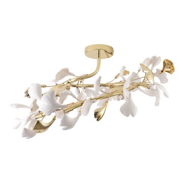 Zuma Line - Uz virsmas montējams griestu lustrs 6xG9/42W/230V Ø 70 cm zelta krāsas