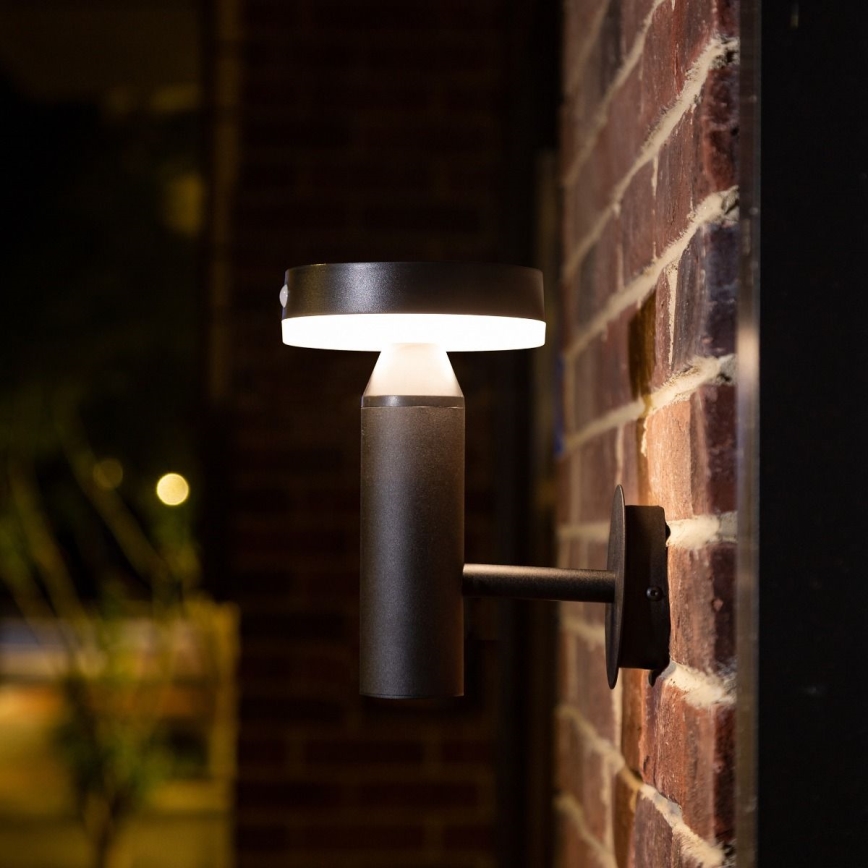 Zuma Line - LED Saules enerģijas sienas lampa ar kustību un krēslas sensoru LED/4,5W/2000 mAh IP44 melna